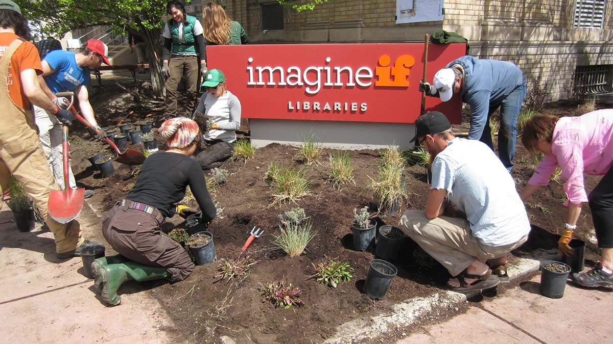 Plant Native Plant Garden - Volunteer