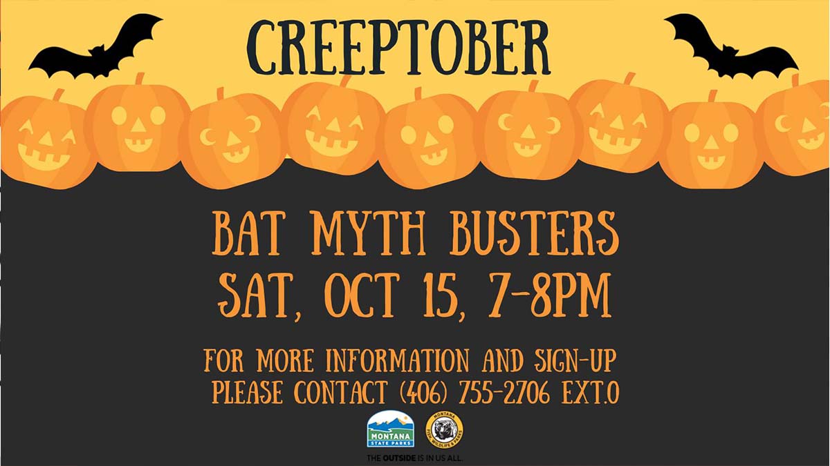 creeptover bat myths