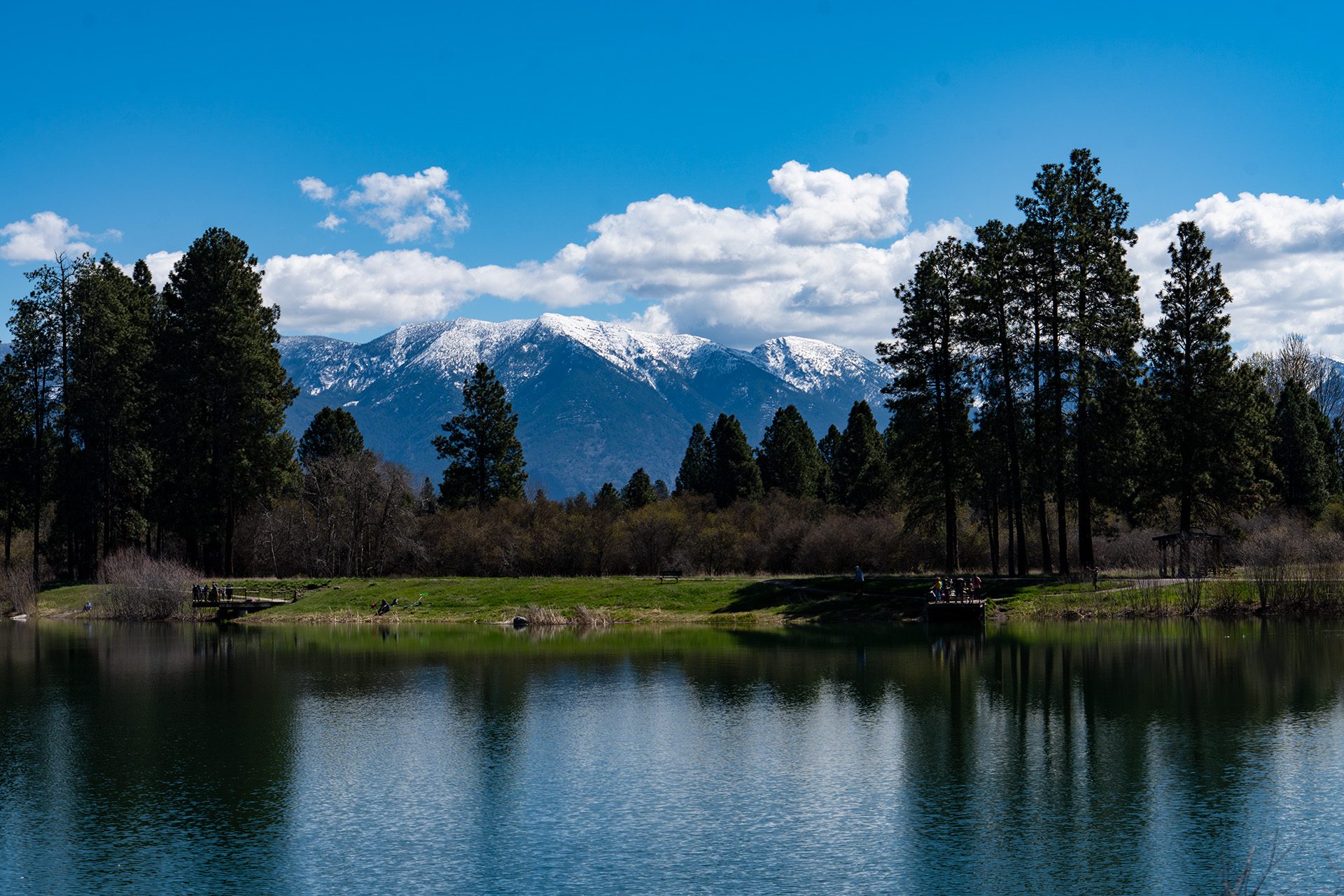 Spring in the Flathead Valley