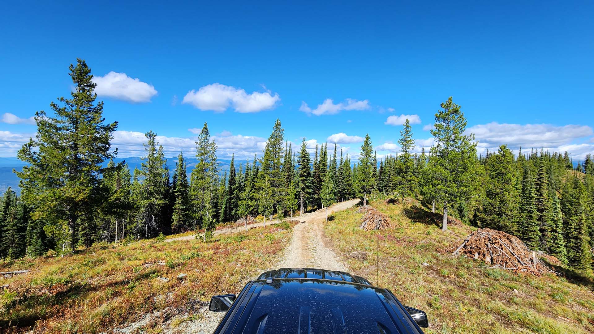 Offroad Adventures on Desert Mountain: Spectacular Views Await in Flathead National Forest