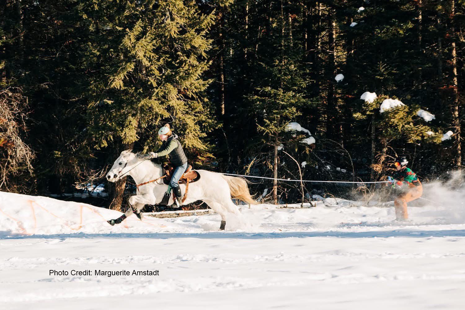Whitefish Skijoring