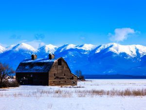 The Historic Blasdel Barn